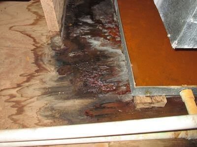 About Loretto Water Damage Restoration - 24 hour water damage restoration experts in Loretto